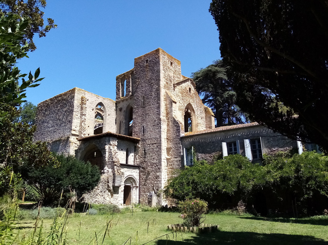 Abbaye de Villelongue主图