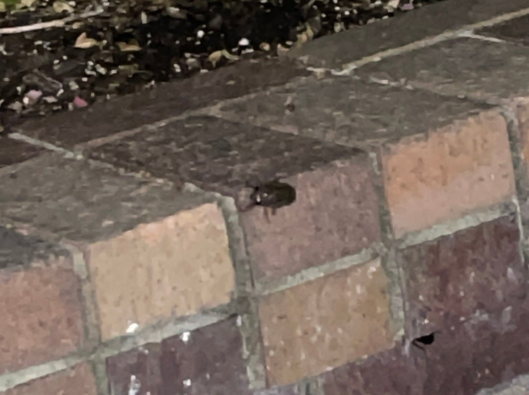 Waterway Lodge主图