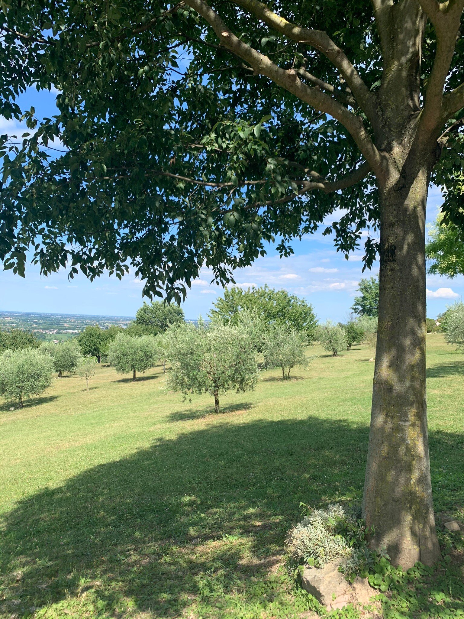 Country House Il Bucaneve-官方