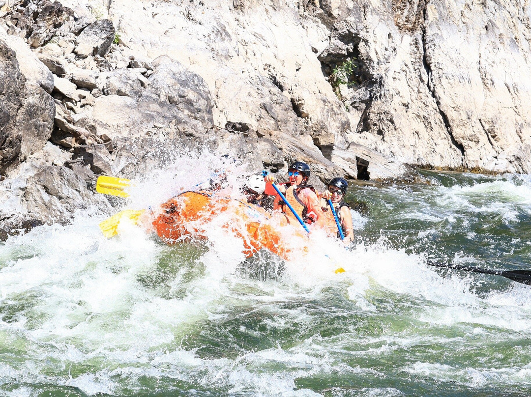 Zoo Town Surfers-Alberton必去景点