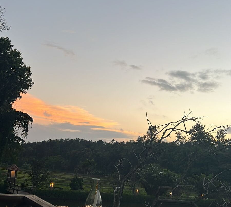 Evolve Back, Coorg主图