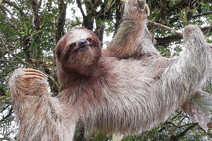 福德圣卡洛斯旅游攻略图片