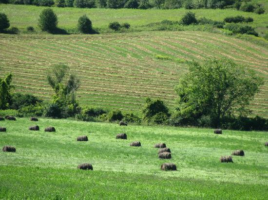 美国20号公路-奥尔巴尼必去景点