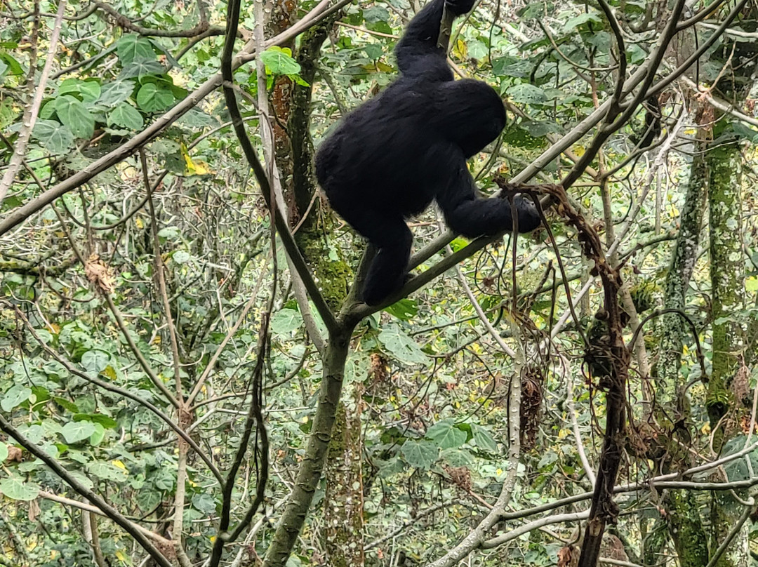 Freka African Holidays-坎帕拉必去景点