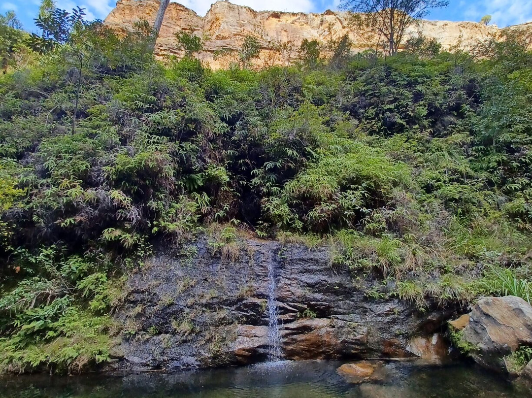 FREEBIRD MADAGASCAR TOURS-安塔那那利佛必去景点