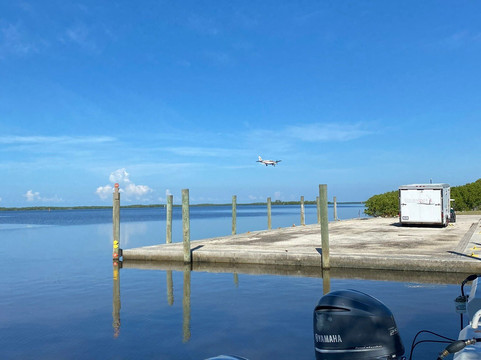 Everglades Florida Adventures-大沼泽地必去景点