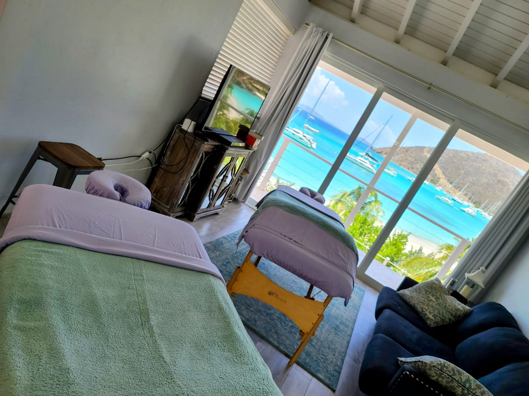 Harmony Luxury Mobile Spa  Bvi-Jost Van Dyke必去景点
