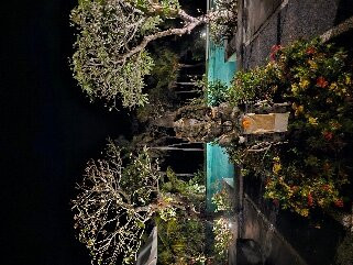 Bali Natha Beach Front主图