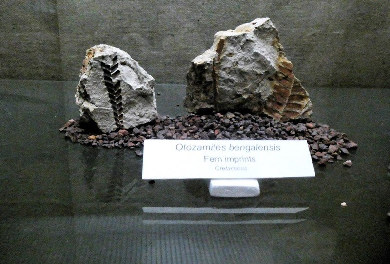 Australian Age of Dinosaurs-Winton必去景点