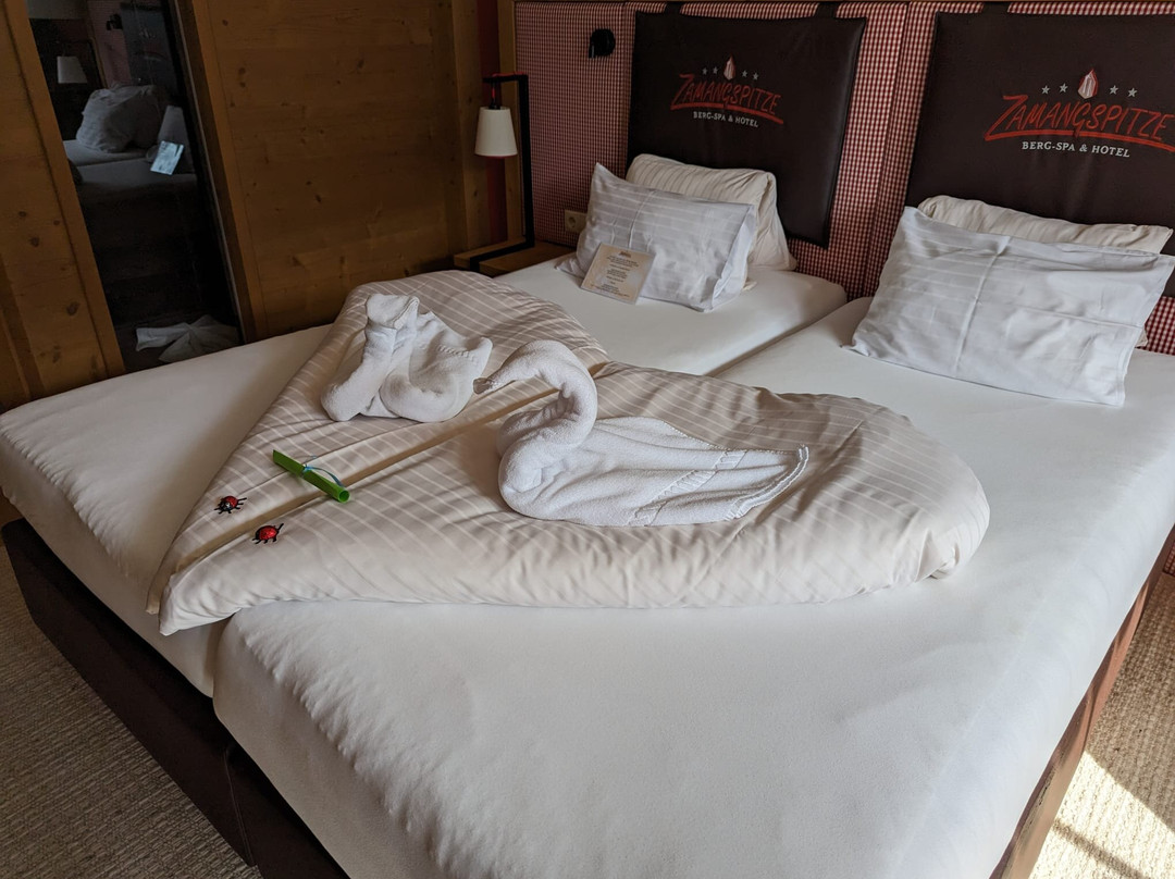 BergSPA & Hotel Zamangspitze主图
