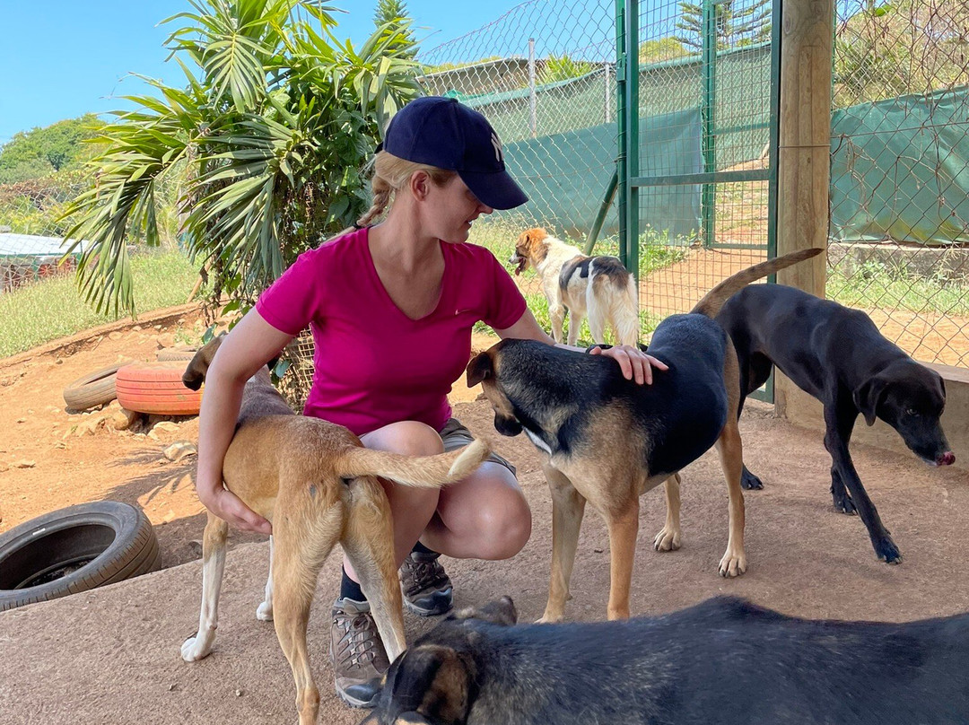 Happy Tails Dog Sanctuary