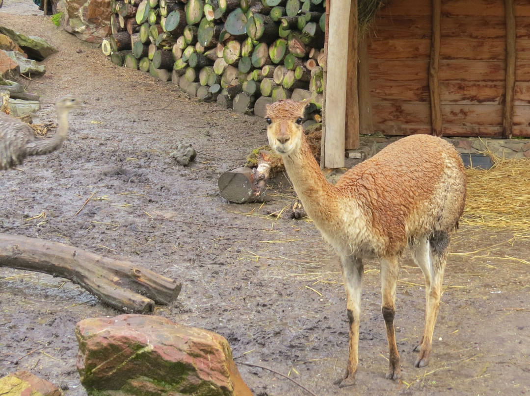 Vogelpark Avifauna-Alphen aan den Rijn必去景点