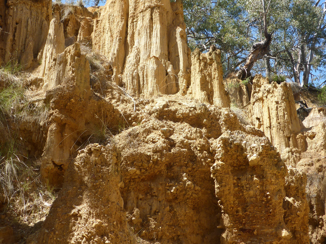 Golden Gully-Hill End必去景点