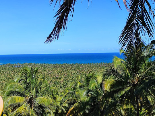 Wa Turismo Maceió-Maceio必去景点