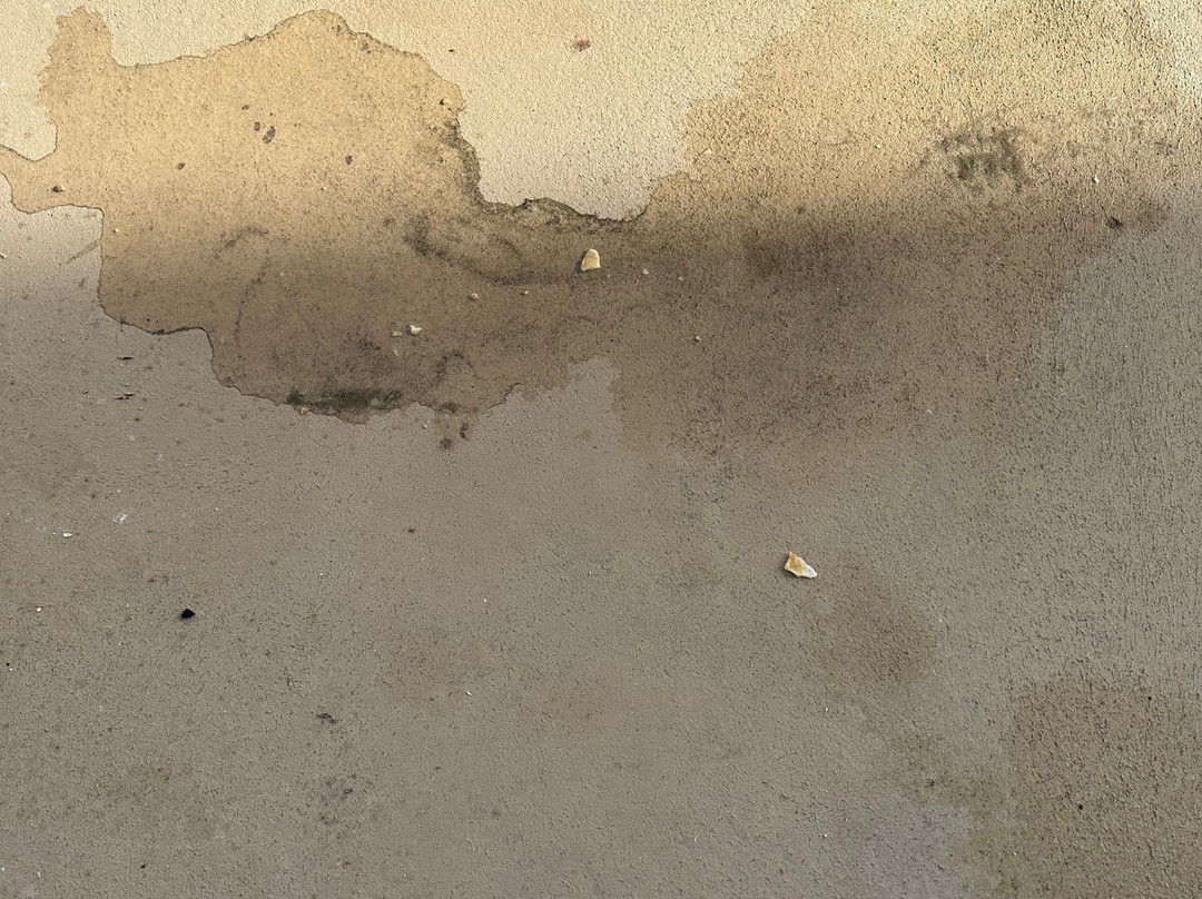 Bethany Beach Ocean Suites Residence Inn主图