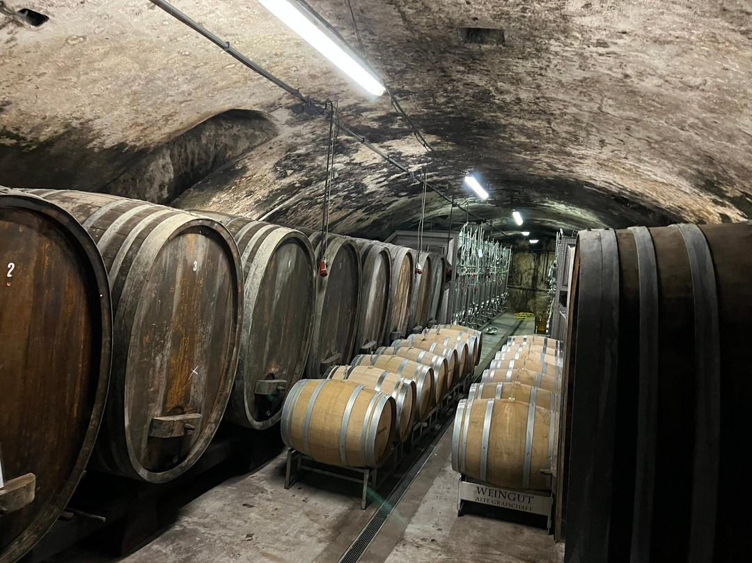 Weingut Alte Grafschaft Kreuzwertheim-Kreuzwertheim必去景点