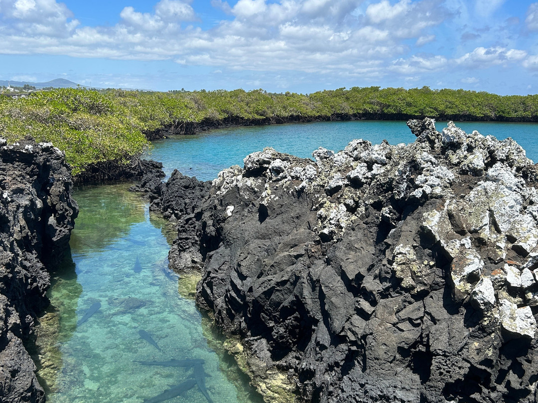 Galapagos Path景点图片