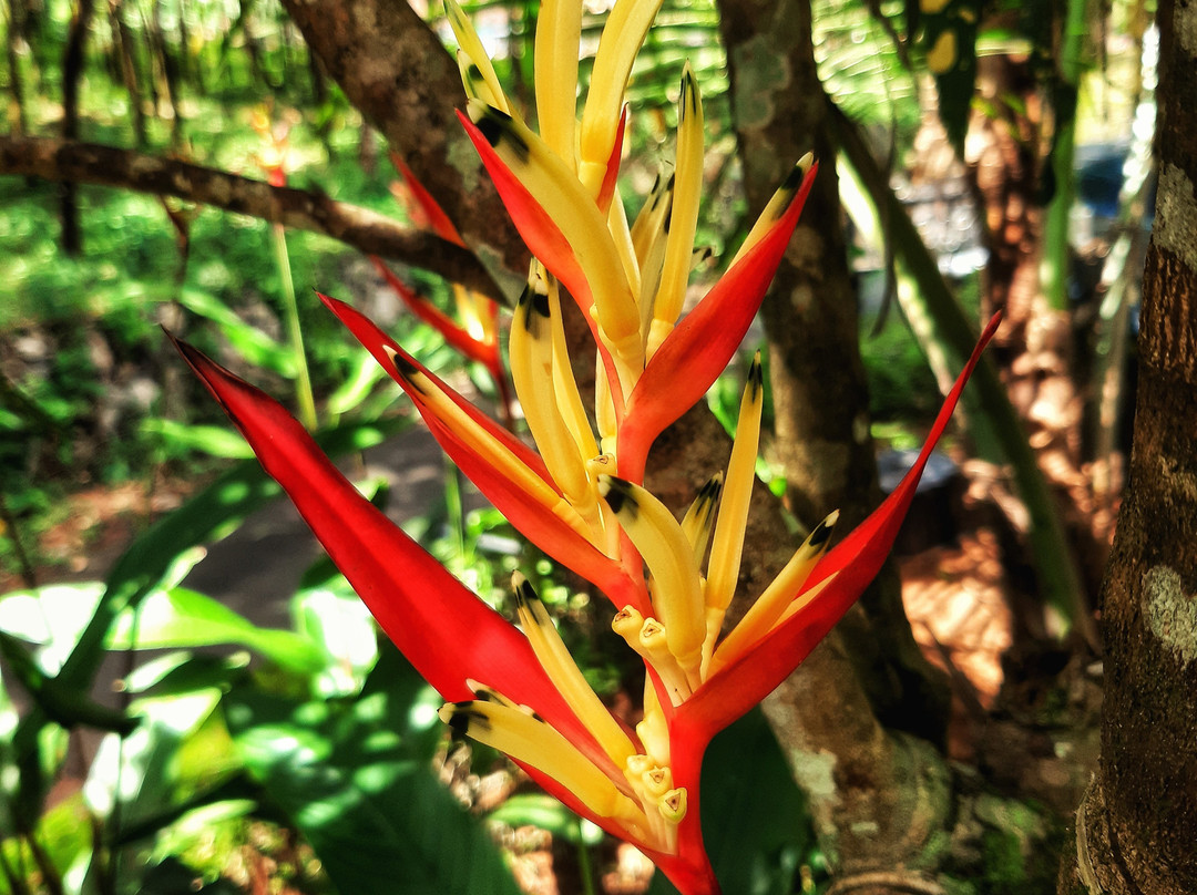 My Time Butterfly Garden-Miramar必去景点