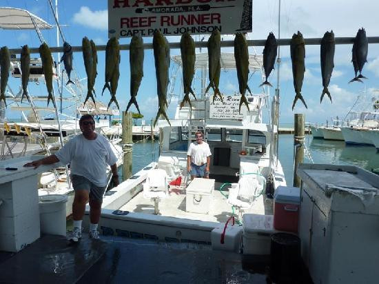 Reef Runner-伊斯拉摩拉达必去景点