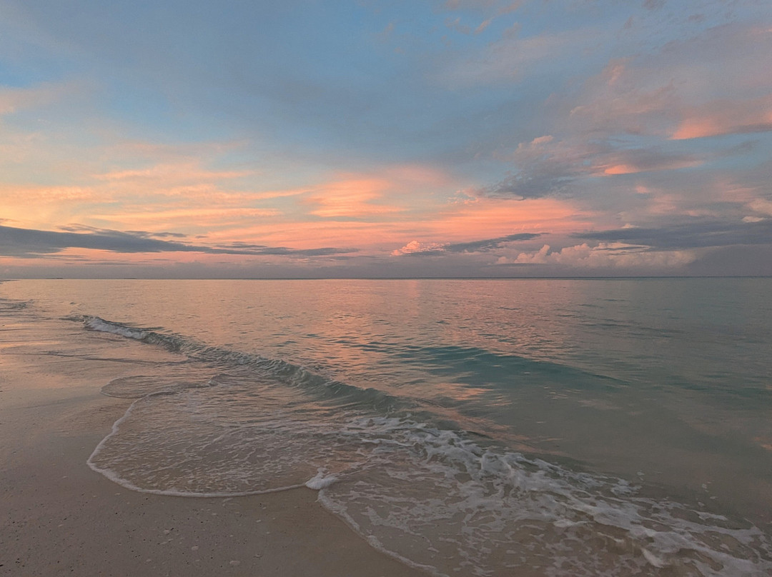 Andros Beach Club主图