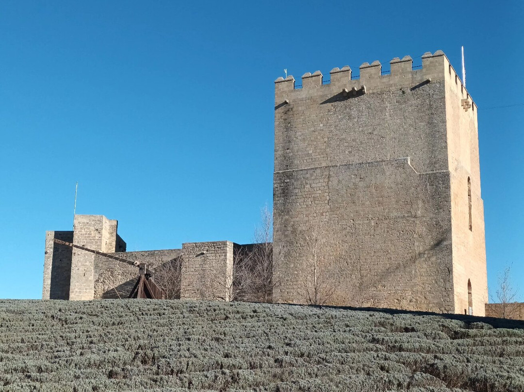 Fortaleza de la Mota景点图片