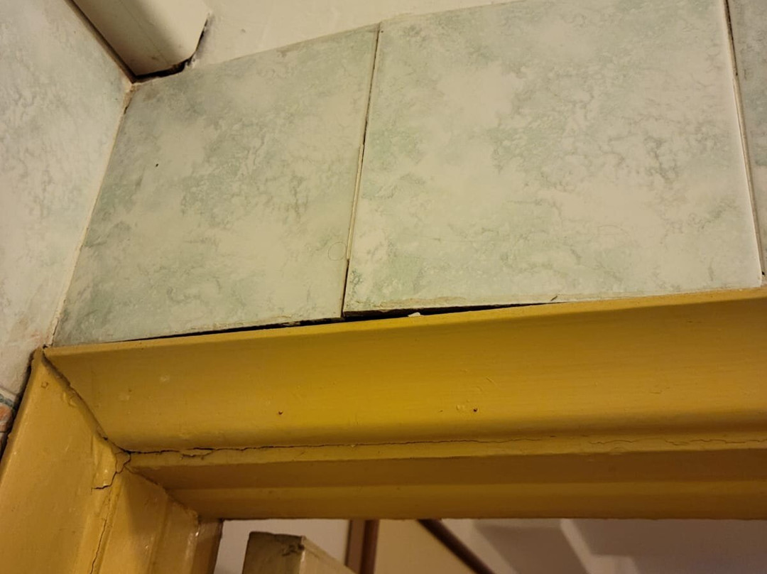 Hotel Il Rustichello主图