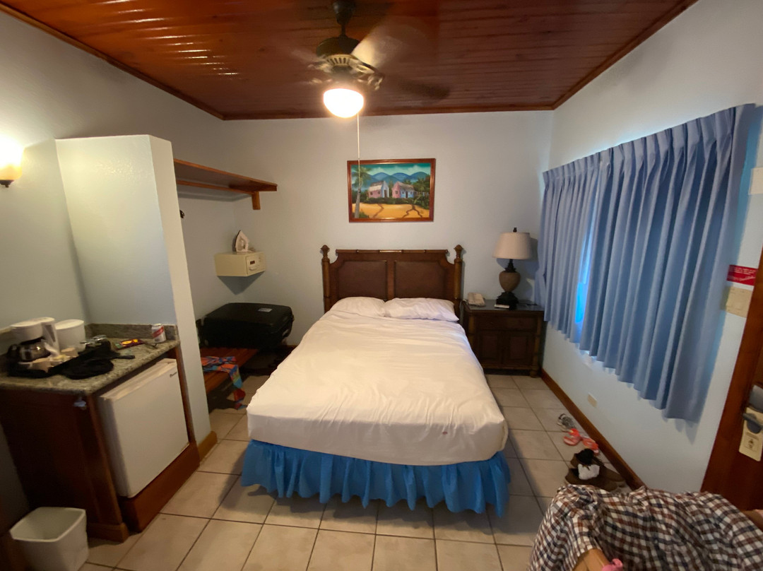 可可棕榈酒店主图