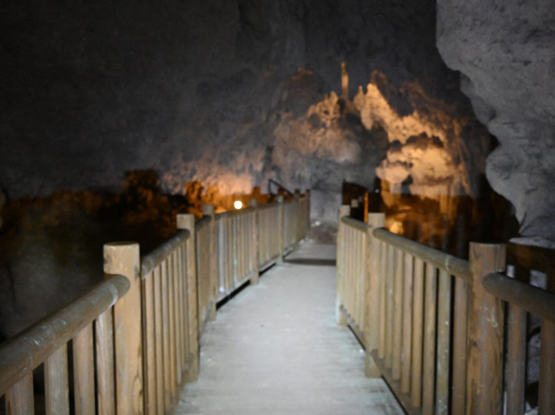 Ufuyaguchi Limestone Cave景点图片
