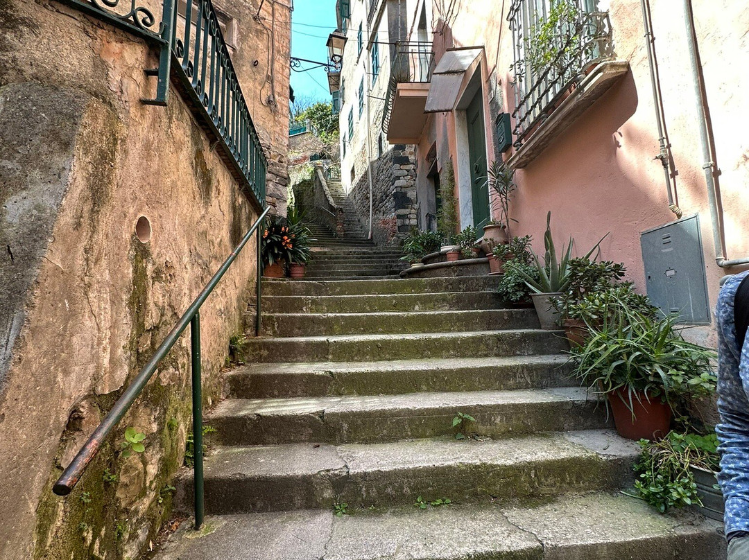 Enotropea Wine Tours景点图片
