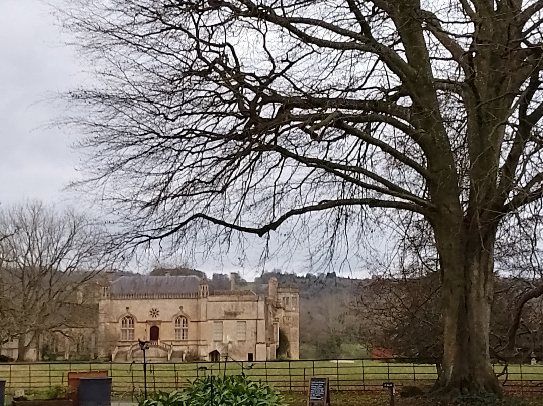 Lacock Abbey & Village景点图片