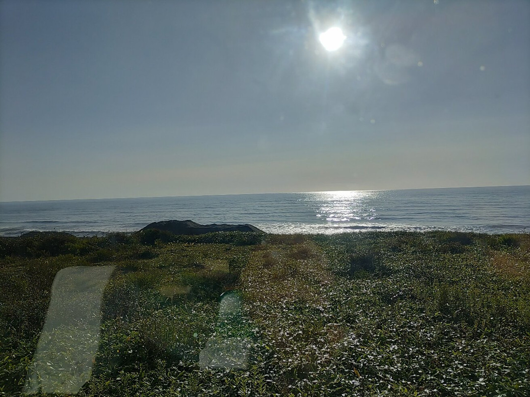 Bansei Onsen-大树町必去景点