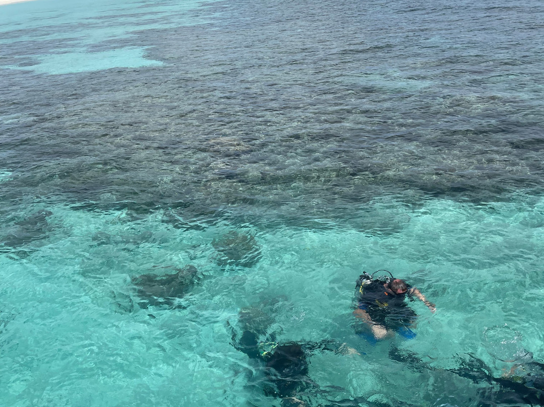 Euro-Divers Havodda-南苏瓦迪瓦环礁必去景点