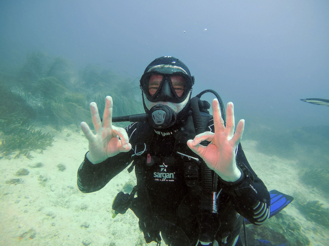 Scubadiving Margarita-El Tirano必去景点