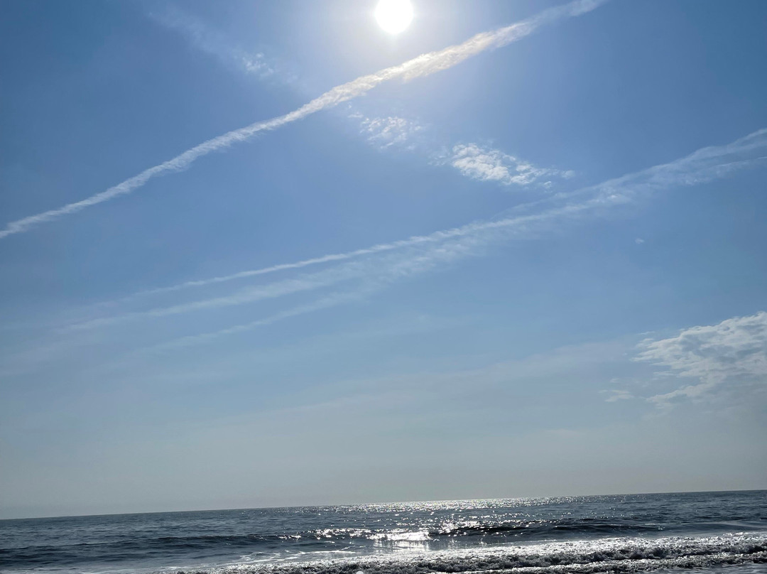 Beach House Dewey主图