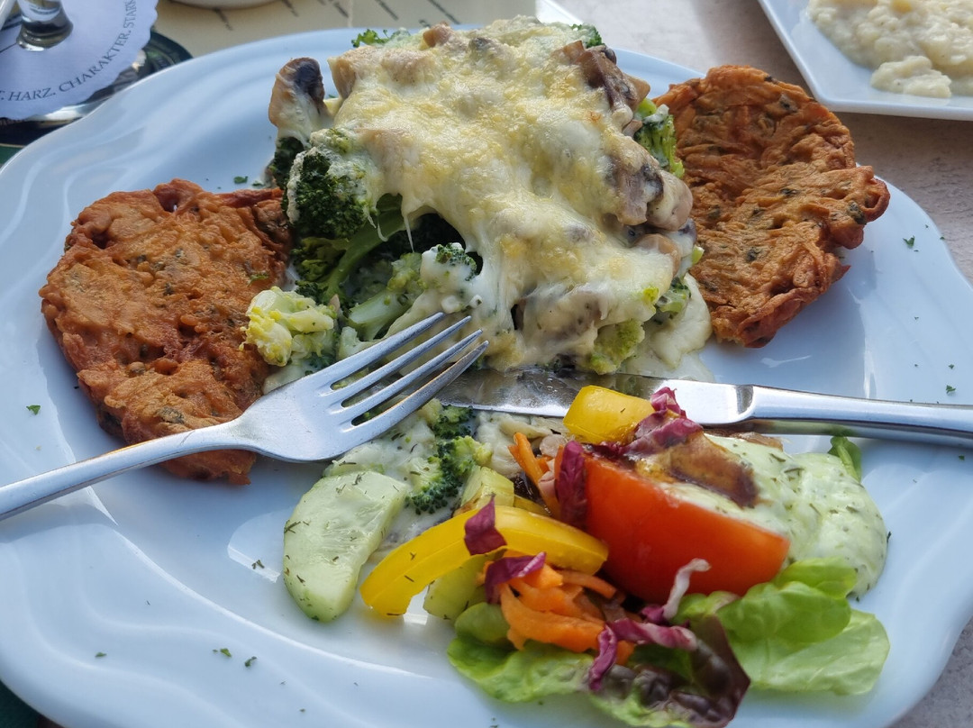 Landhotel Alte Aue主图