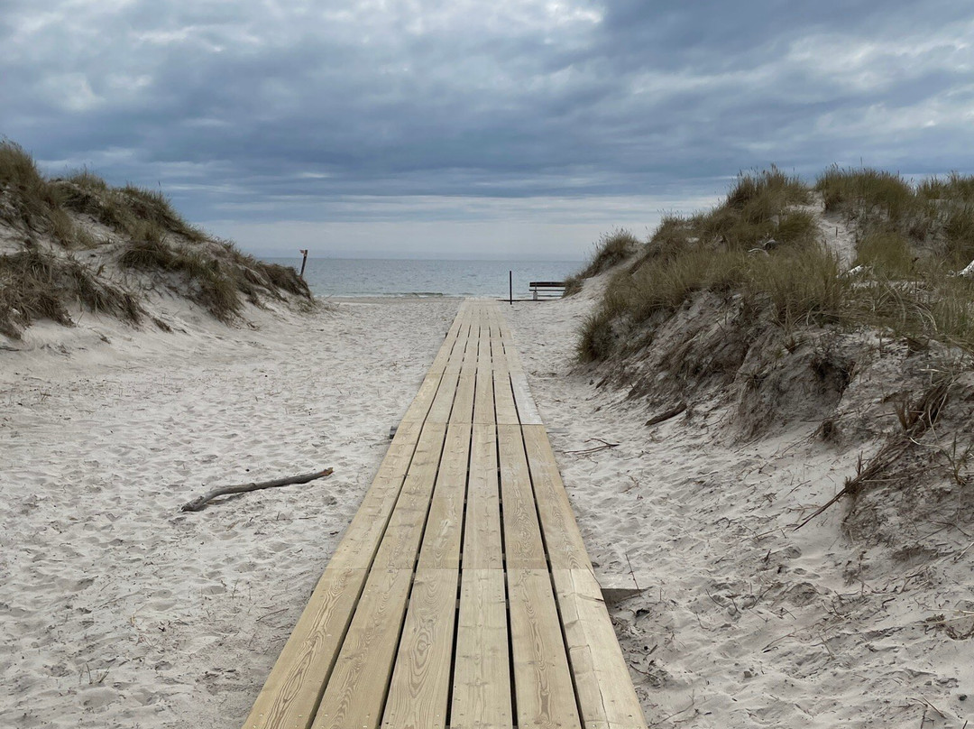 Sandhammarens Strand-Loderup必去景点