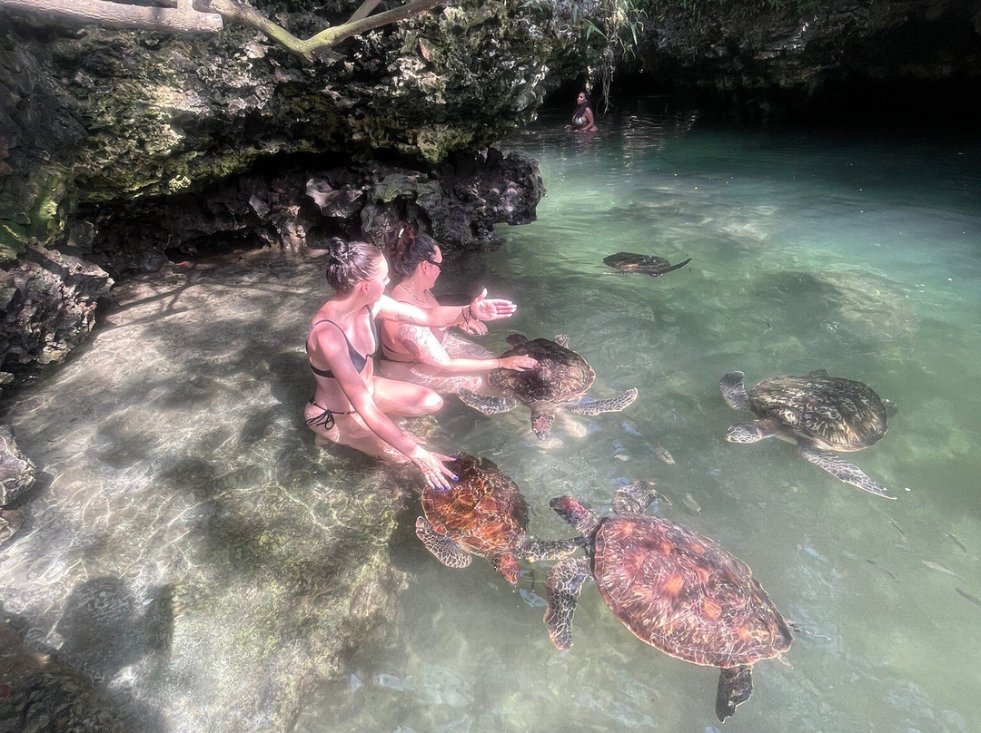 Monreve Zanzibar-桑给巴尔岛必去景点