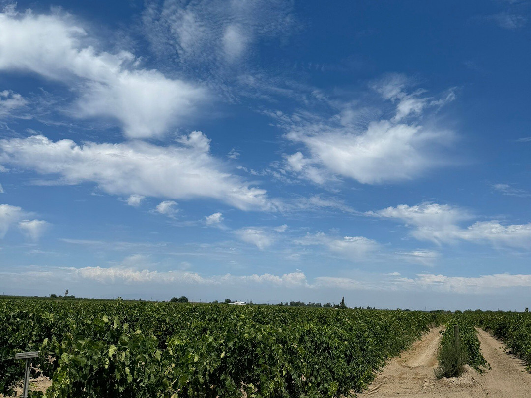 Nonini Winery景点图片