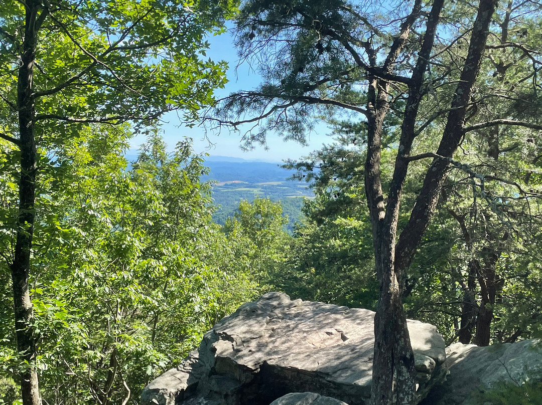 House Mountain State Natural Area-诺克斯维尔必去景点