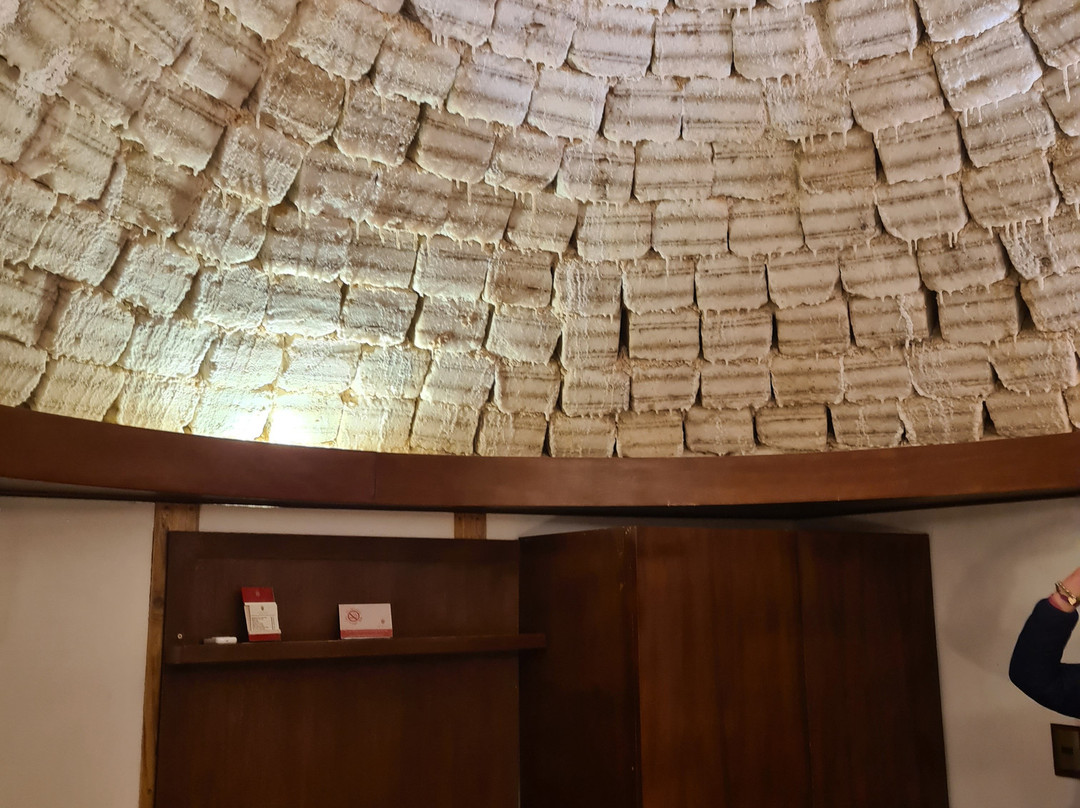 萨尔宫殿酒店主图