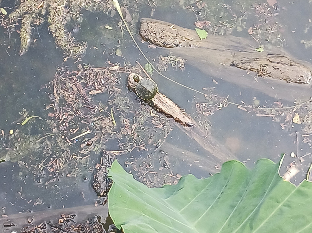 Baymont by Wyndham Hot Springs On the Lake主图