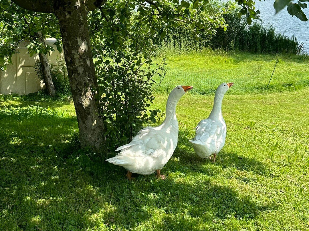 Hofgut Schleinsee主图