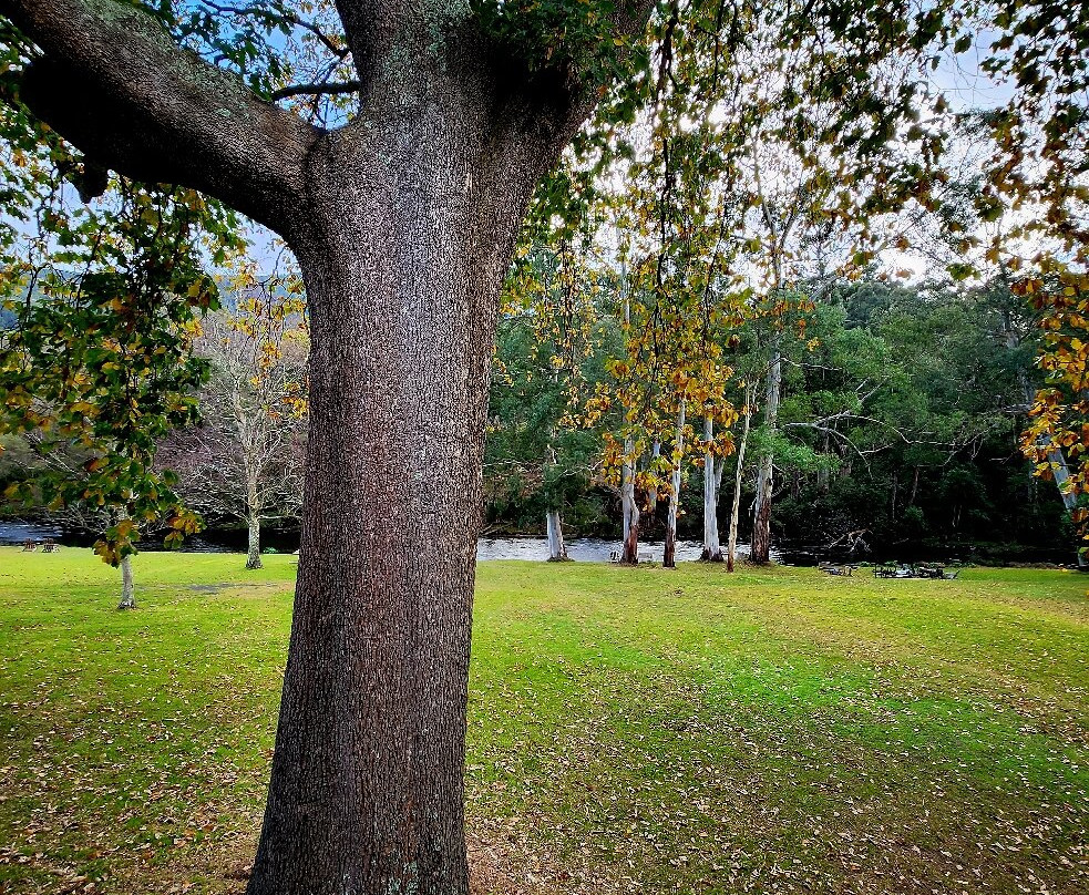 亚拉河谷贝斯特韦斯特酒店主图
