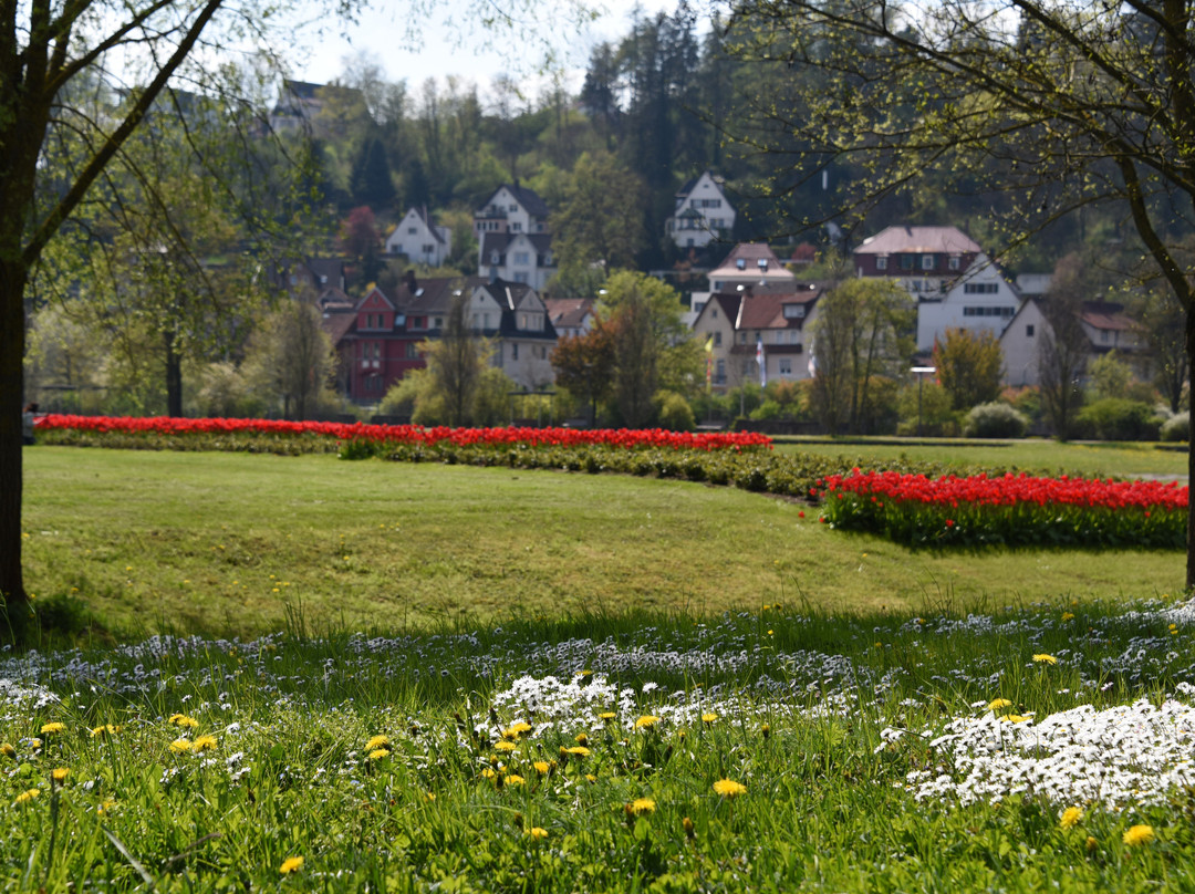 Brenzpark景点图片