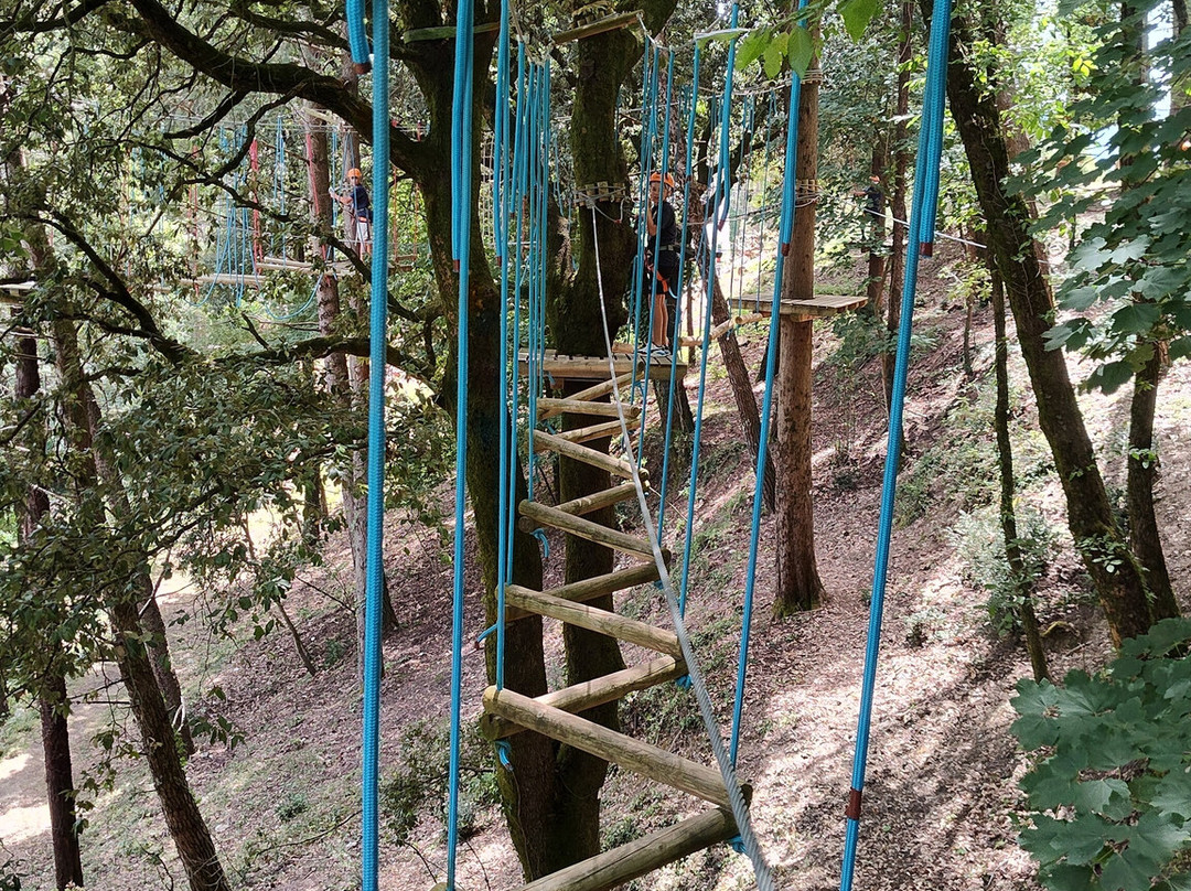 Woodpark景点图片
