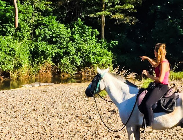 Horse Jungle-萨玛拉滩必去景点