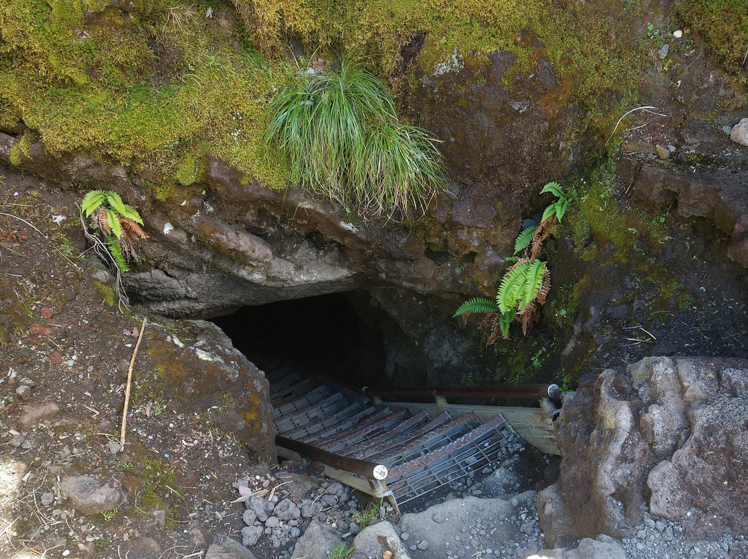 Ape Cave Lava Tubes景点图片