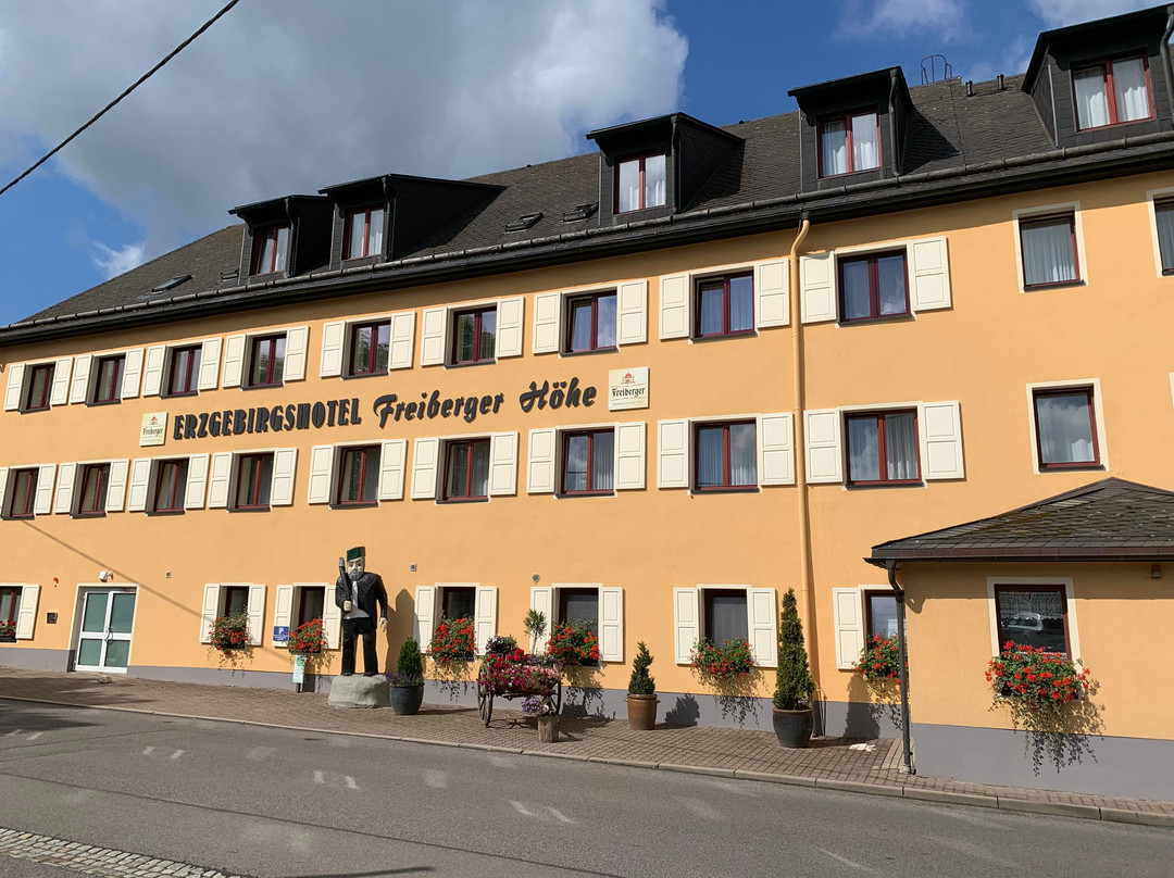 Erzgebirgshotel Freiberger Höhe主图