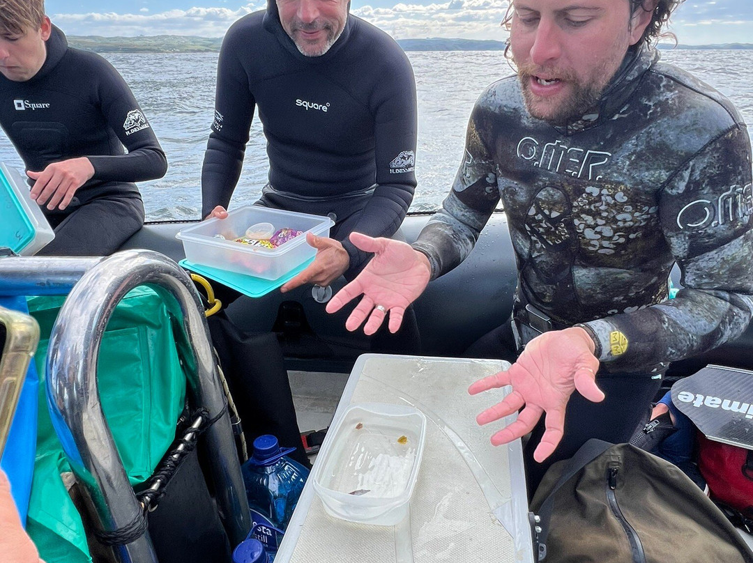 Offshore Africa-Port St Johns必去景点