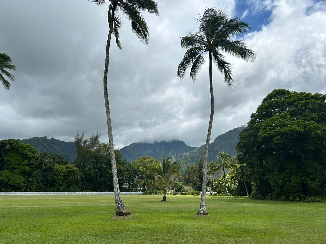 Wai'oli Hui'ia Church-哈纳雷伊必去景点